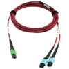 Tripp Lite series 400G Multimode 50/125 OM4 Plenum Fiber Optic Cable, 16F MTP/MPO-APC to (x2) 12F MTP/MPO-UPC (F/F), Magenta, 5 m