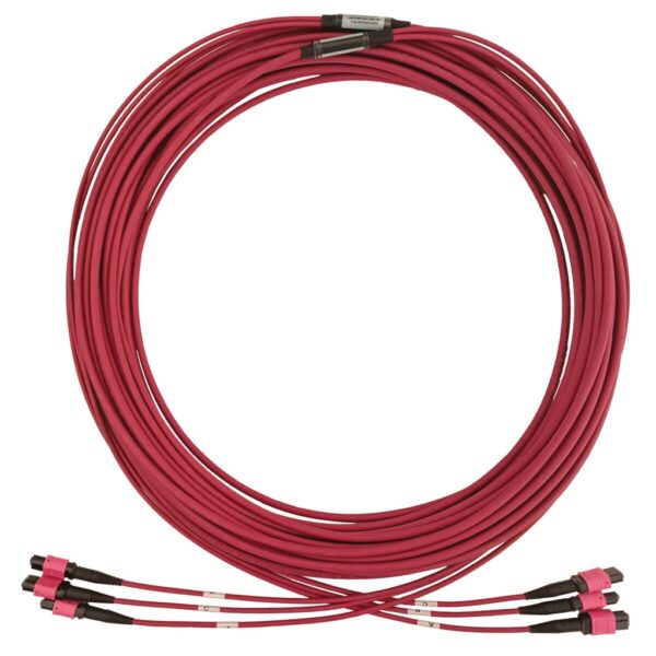 015aa674b0f87325c8639f77d9be905e Tripp Lite series 40/100/400G Multimode 50/125 OM4 Fiber Optic Cable (3x8F MTP/MPO-PC F/F), LSZH, Magenta, 23 m (75.5 ft.)