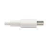 Tripp Lite series USB-C to Lightning Sync/Charge Cable (M/M), MFi Certified, White, 3 ft. (0.9 m)