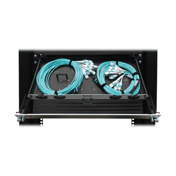 Tripp Lite series Preloaded Fiber Panel, 1U - 2x (24F MTP/MPO-PC to 12x LC Duplex F/M) 24F Trunk Cables, OM4 Multimode, 10 m (32.8 ft.)
