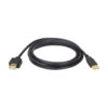 02e2124c61933314f764fc1f5098fe55 Tripp Lite series USB 2.0 Extension Cable (A M/F), 10 ft. (3.05 m)