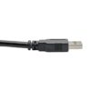 03c09a72e6a60ad842ec7bc69c2006c2 Tripp Lite series USB 3.0 SuperSpeed A/A Cable (M/M), Black, 3 ft. (0.91 m)