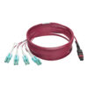 04f114fd1551dc0dea37ed953f824805 Tripp Lite series 40G MTP/MPO to 4xLC Fan-Out OM4 Plenum-Rated Fiber Optic Cable, 40GBASE-SR4, Push/Pull Tabs, Magenta, 5 m