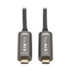 Tripp Lite USB-C Plenum Fiber Active Optical Cable (M/M), USB 3.2 Gen 2 10Gbps, Data Only, Black, 10 m (33 ft.) - U420F-10M-D321