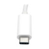 Tripp Lite series USB-C to DVI Adapter with USB 3.x (5Gbps) Hub Port and PD Charging, White