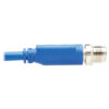 07c892ed4f589a1f64be5745e95e7bf8-1 Tripp Lite series M12 X-Code Cat6 1G UTP CMR-LP Ethernet Cable (M/M), IP68, PoE, Blue, 10 m (32.8 ft.), TAA