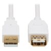 0847ccadeab30522ab142a6a5c9852ab Tripp Lite series Safe-IT USB 2.0 Antibacterial Extension Cable (A M/F), USB 2.0, White, 3 ft. (0.91 m)