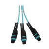 09991d0d6aaf6c092c3a5975f6890587 Tripp Lite series Preloaded Fiber Panel, 1U - 2x (3x8F MTP/MPO-PC F/F) 24F Trunk Cables, OM4 Multimode, 20 m (65.6 ft.)