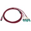 0a19f78a35c8e6811fc2c6142f9ddda5 Tripp Lite series 40/100G Multimode 50/125 OM4 Fiber Optic Cable (12F MTP/MPO-PC to 4x Duplex LC/PC F/M), LSZH, Magenta, 3 m (9.8 ft.)