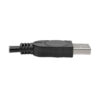 0d1078e87ff2360c1dd2d9419e78209d Tripp Lite series 2-Port USB to DB9 Serial FTDI Adapter Cable with COM Retention (M/M), 6 ft. (1.83 m)