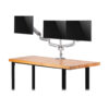 Tripp Lite series Triple-Display Gas-Spring Flex-Arm Desktop Clamp and Grommet for 17” to 30” Flat-Screen Displays - USB and Audio Ports, Aluminum