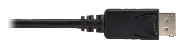 Tripp Lite series HDMI to DisplayPort Active Adapter Cable (M/M) - 4K 60 Hz, USB Power, Black, 1 m (3.3 ft.) - P567-01M-4K6