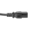 Tripp Lite series Power Extension Cord, C19 to C20 - Heavy-Duty, 15A, 250V, 14 AWG, 10 ft. (3.05 m), Black