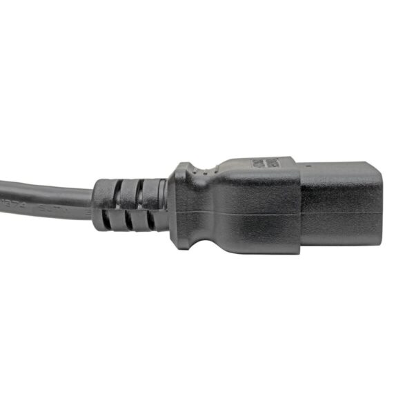 Tripp Lite series Power Extension Cord, C19 to C20 - Heavy-Duty, 15A, 250V, 14 AWG, 10 ft. (3.05 m), Black