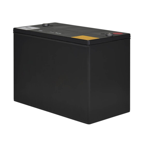 Tripp Lite series External 12V DC 100AH Battery Module for 120V AC Extreme Temperature Network UPS, TAA
