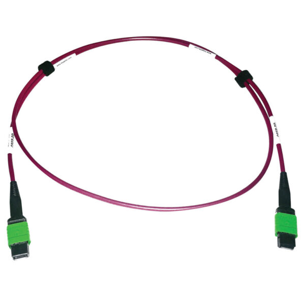Tripp Lite series 400G Multimode 50/125 OM4 Plenum-Rated Fiber Optic Cable, 16F MTP/MPO-APC (F/F), Magenta, 1 m