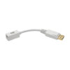 139c837a93730b59f23f602867e3ed4c Tripp Lite series DisplayPort to Mini DisplayPort Adapter Video Converter , 4K 60 Hz (M/F), 6 in. (15.2 cm)