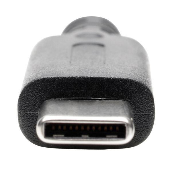 Tripp Lite series USB-C to Displayport 4K 60Hz Adapter, Black