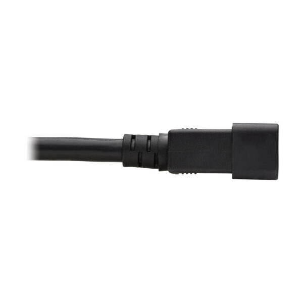 Tripp Lite series Power Cord, C20 to C21 - Heavy-Duty, 20A, 250V, 12 AWG, 10 ft. (3.05 m), Black