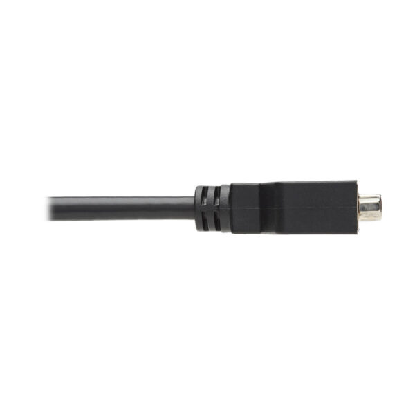 Tripp Lite series DisplayPort to DVI-I Adapter Cable (M/F), 6 in. (15.2 cm), TAA
