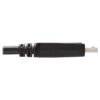 Tripp Lite series DisplayPort to DVI Adapter Cable (DP with Latches to DVI-D Single Link M/M), 10 ft. (3.1 m)