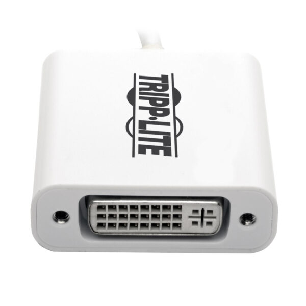Tripp Lite series USB-C to DVI Adapter with Alternate Mode - DP 1.2, White