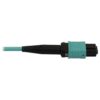 Tripp Lite series 40/100/400G Multimode 50/125 OM3 Fiber Optic Cable (12F MTP/MPO-PC to 4x Duplex LC/PC F/M), LSZH, Aqua, 3 m (9.8 ft.)