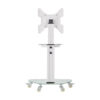 Tripp Lite series Premier Rolling TV Cart for 32” to 55” Displays, Frosted Glass Base and Shelf, Locking Casters, White