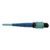 227a3b53ddf2cee4272763493d8fa3ab-3 Tripp Lite series 40/100/400G Multimode 50/125 OM3 Fiber Optic Cable (24F MTP/MPO-PC F/F), LSZH, Aqua, 5 m (16.4 ft.)