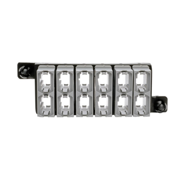 Tripp Lite series 40 GB Pass-Through Cassette, (x12) 12-Fiber MTP/MPO ( Female )