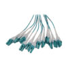 Tripp Lite series Preloaded Fiber Panel, 1U - 2x (12x LC/LC Duplex M/M) 24F Trunk Cables, OM4 Multimode, 20 m (65.6 ft.)