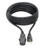 2bd30170f36beab503bba8d589fbf31c Tripp Lite series Computer Power Cord, NEMA 5-15P to Locking C13 - 10A, 125V, 18 AWG, 10 ft. (3.05 m)