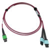 Tripp Lite series 400G Multimode 50/125 OM4 Plenum Fiber Optic Cable, 16F MTP/MPO-APC to (x2) 12F MTP/MPO-UPC (F/F), Magenta, 3 m