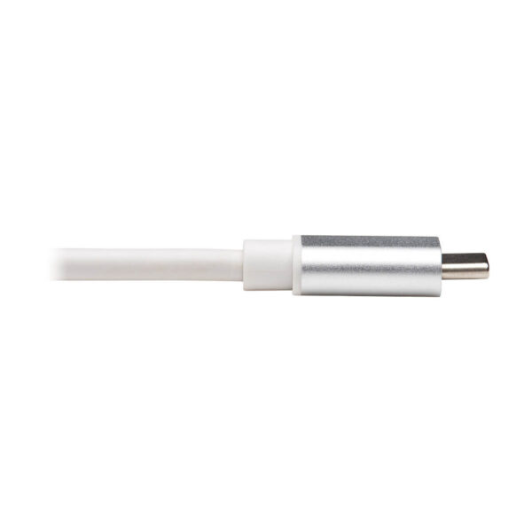 2cad92e1eef8e7dfba45283fc76d9b9a Tripp Lite series 2-Port USB-C to 3.5 mm Stereo Audio Adapter - USB 2.0, Silver