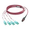 2d51a6ff44debb3b4f923c7284dbeeba-1 Tripp Lite series 40G MTP/MPO to 4xLC Fan-Out OM4 Plenum-Rated Fiber Optic Cable, 40GBASE-SR4, Push/Pull Tabs, Magenta, 1 m