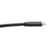 Tripp Lite series USB-C Cable (M/M) - USB 3.2, Gen 1 (5 Gbps), 5A Rating, Thunderbolt 3 Compatible, 6 ft. (1.83 m)