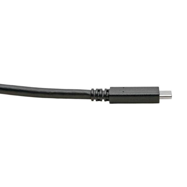 Tripp Lite series USB-C Cable (M/M) - USB 3.2, Gen 1 (5 Gbps), Thunderbolt 3 Compatible, 6 ft. (1.83 m)