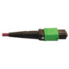 37ee309d9589d92340876237bd32521b-1 Tripp Lite series 400G Multimode 50/125 OM4 Plenum Fiber Optic Cable, 16F MTP/MPO-APC to 24F MTP/MPO-UPC (F/F), Magenta, 1 m