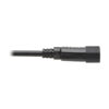 Tripp Lite series NEMA 5-15R to C14 Computer AC Power Cable - 13A, 125V, 16 AWG, 2 ft. (0.61 m), Black
