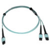 3c7c8a910d65cd69395cee4627a3a8da Tripp Lite series 400G Multimode 50/125 OM4 Plenum Fiber Optic Cable, 24F MTP/MPO-PC to (x2) 12F MTP/MPO-PC (F/F), Aqua, 1 m