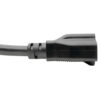 Tripp Lite series Power Cord Adapter, NEMA L5-20P to NEMA 5-15R - Heavy-Duty, Locking, 20A, 125V, 12 AWG, 6-in. (15.24 cm), Black
