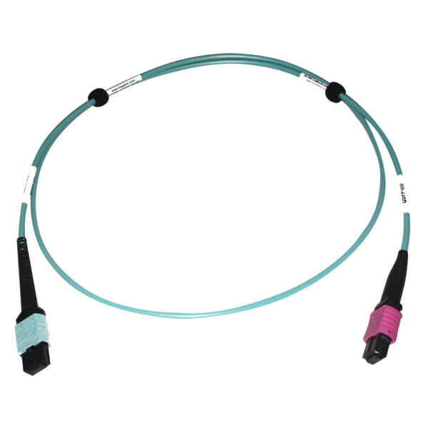 Tripp Lite series 400G Multimode 50/125 OM4 Plenum Fiber Optic Cable, 24F MTP/MPO-UPC to 16F MTP/MPO-UPC (F/F), Aqua, 1 m