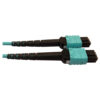 Tripp Lite series 400G Multimode 50/125 OM4 Plenum Fiber Optic Cable, 24F MTP/MPO-PC to (x2) 12F MTP/MPO-PC (F/F), Aqua, 5 m
