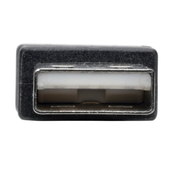 419670ab1f8d8f4bdf781715d364f367 Tripp Lite series 2-Port USB to DB9 Serial FTDI Adapter Cable with COM Retention (M/M), 6 ft. (1.83 m)