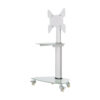 Tripp Lite series Premier Rolling TV Cart for 32” to 55” Displays, Frosted Glass Base and Shelf, Locking Casters, White