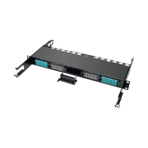 Tripp Lite series 100Gb/120Gb Pass-Through Cassette - (x6) 24-Fiber MTP/MPO ( Female )