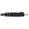 Tripp Lite series DisplayPort Cable with Latching Connectors, 4K 60 Hz (M/M), Black, 6 ft. (1.83 m)