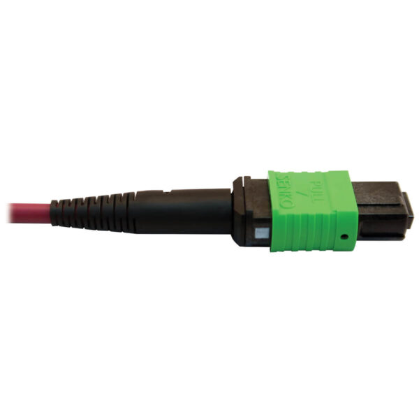 Tripp Lite series 400G Multimode 50/125 OM4 Plenum Fiber Optic Cable, 16F MTP/MPO-APC to (x2) 12F MTP/MPO-UPC (F/F), Magenta, 5 m