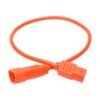 Tripp Lite series PDU Power Cord, C13 to C14 - 10A, 250V, 18 AWG, 2 ft. (0.61 m), Orange