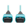 4b35581cd2901fa9067e32f005e64967-3 Tripp Lite series 100G Multimode 50/125 OM4 Fiber Optic Cable (12F MPO/MPO-PC F/F), Type-B Polarity, OFNP, Aqua, 1 m (3.3 ft.), TAA